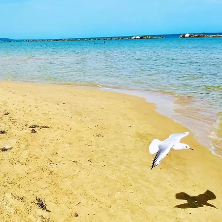 2-bed In Abruzzo Italy 15 Minute To Sea * Paglieta